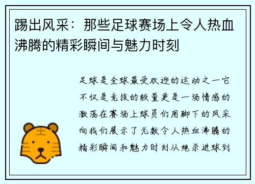 踢出风采：那些足球赛场上令人热血沸腾的精彩瞬间与魅力时刻